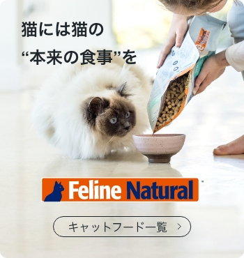 猫には猫の“本来の食事”を